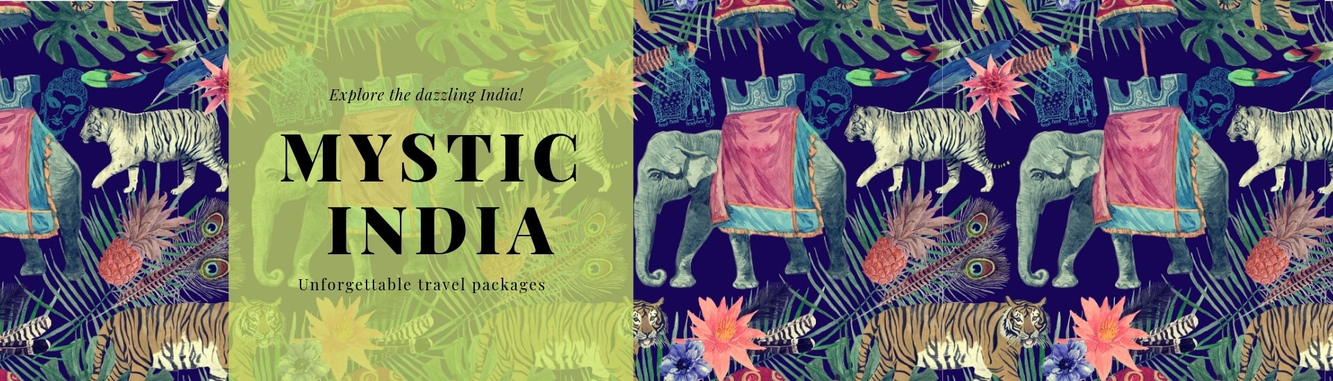 Mystic India Travel Packages