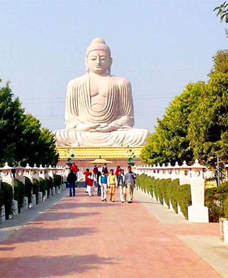 Buddhist Temple Travel Package