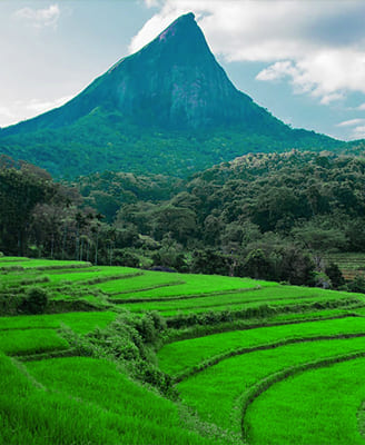 Sri Lanka Hill Country