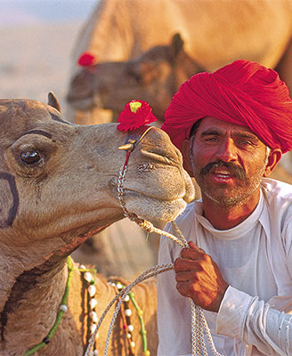 Explore Traditional Rajasthan