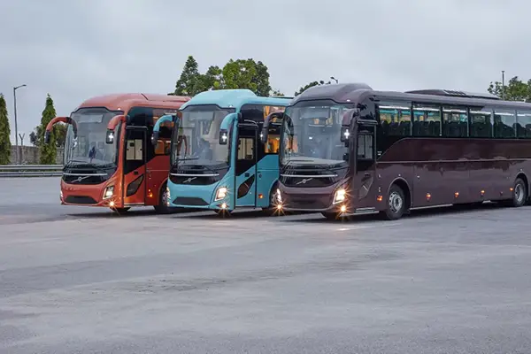 Large Coach